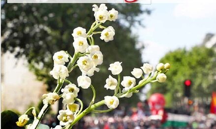 Mensuel des métallurgistes- mai 2025