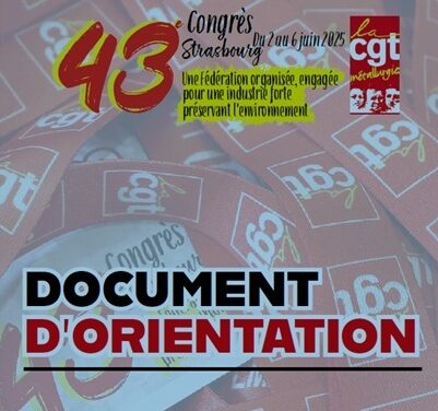 Document d’orientation voté au 43èm congrès