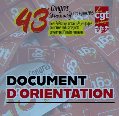 Document d’orientation voté au 43èm congrès